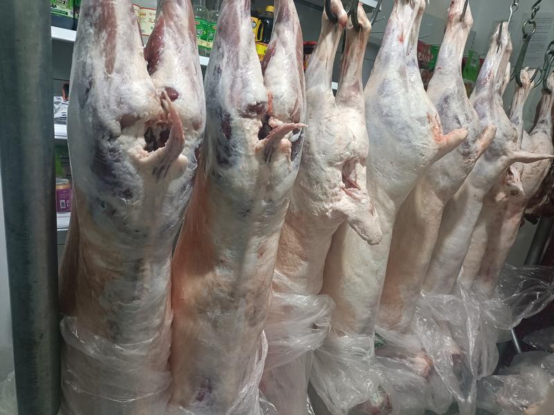 【推荐】宁夏银川精品羊肉大量供应品质保证诚信经营