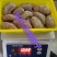 鸭春鸭肾顺丰包邮直营鸭腰子1000克一袋,种鸭腰子鲜品看