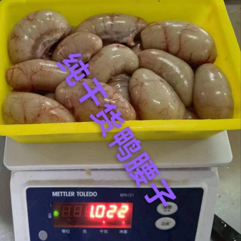 鸭春鸭肾顺丰包邮直营鸭腰子1000克一袋,种鸭腰子鲜品看
