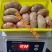 鸭春鸭肾顺丰包邮直营鸭腰子1000克一袋,种鸭腰子鲜品看