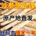 赤峰北沙参粒切粒无硫中药材生沙参