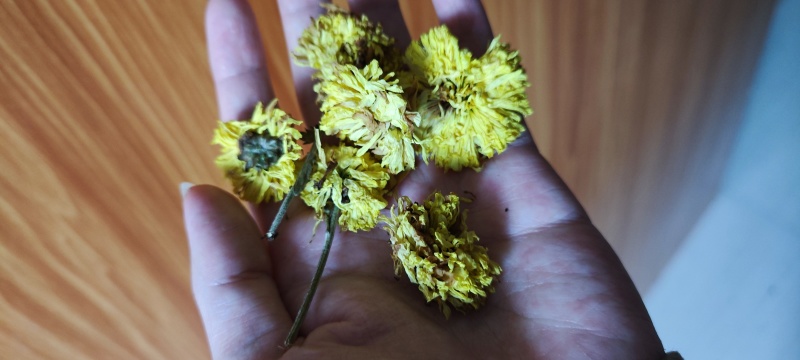 湖南自然晾晒，菊花干货