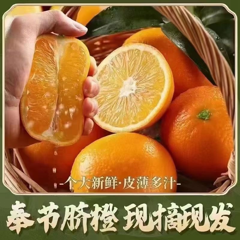 自己家果园，看货摘果