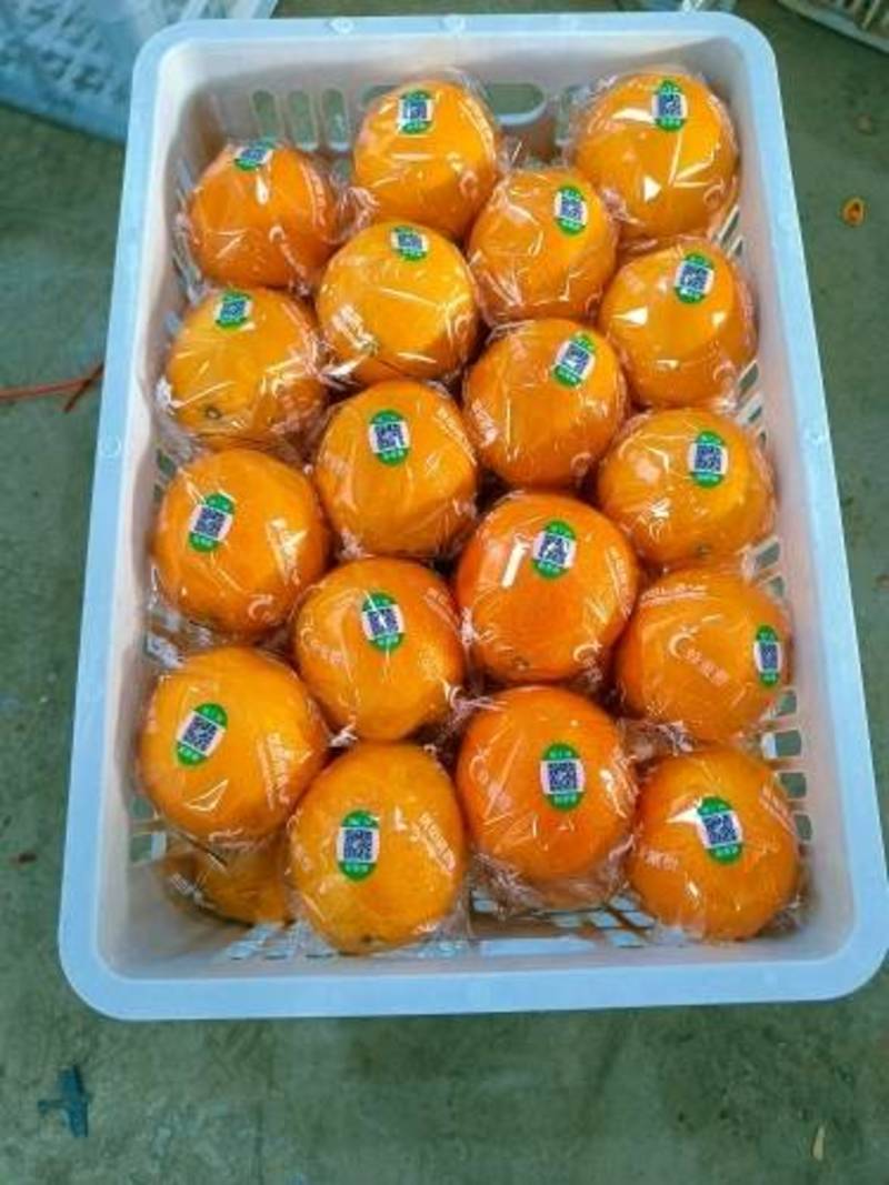 云南沃柑产地大量销售中，纯甜入口化渣支持电商社区团购合作