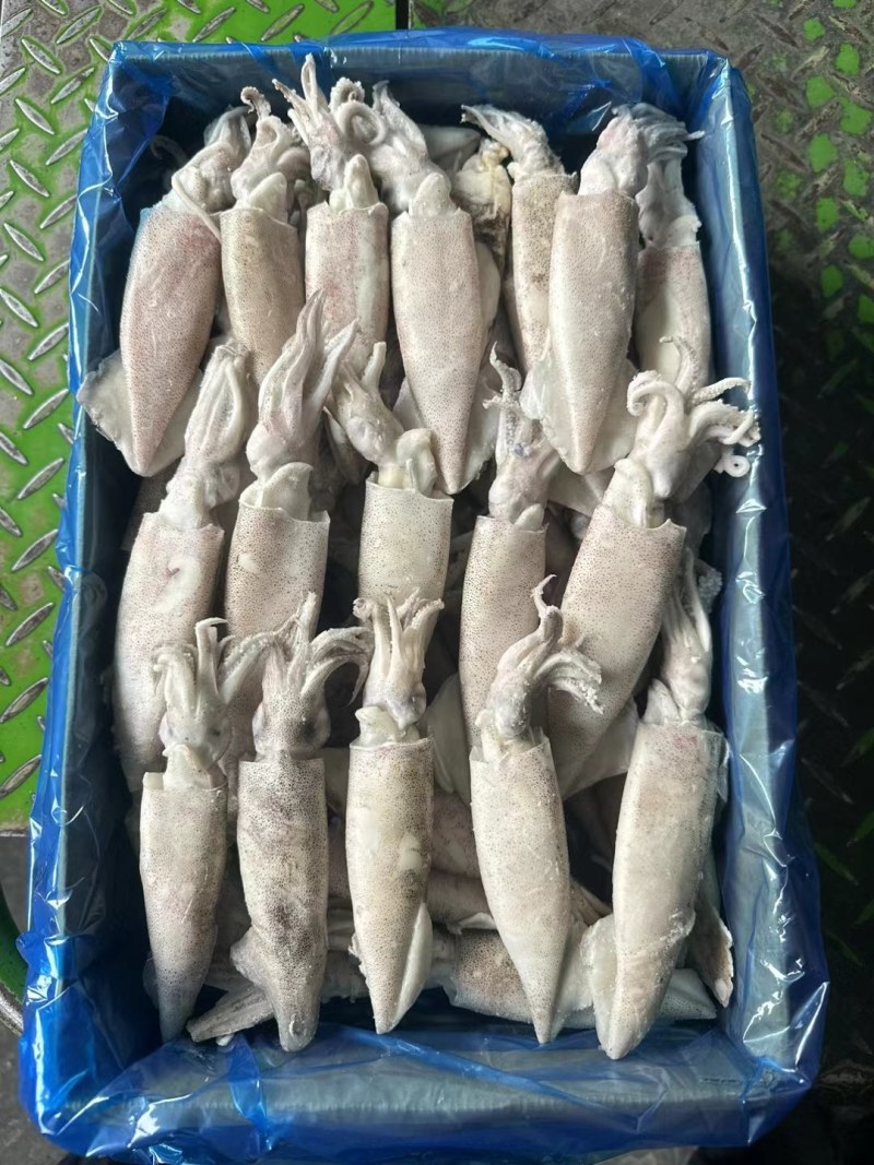 单冻笔管鱼，纯干无冰衣，原汁无泡发
