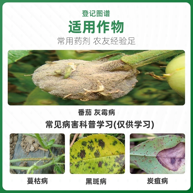 50%腐霉福美双番茄葡萄灰霉病草莓白粉病农用杀菌剂