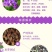 二月兰花种子，诸葛菜花草种子春秋季播景观花海宿根耐阴耐寒