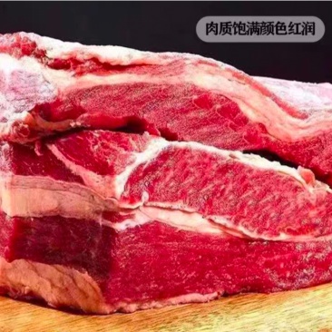 【牛腩肉】新鲜先杀黄牛腩肉，散养生鲜牛肉，批发包邮