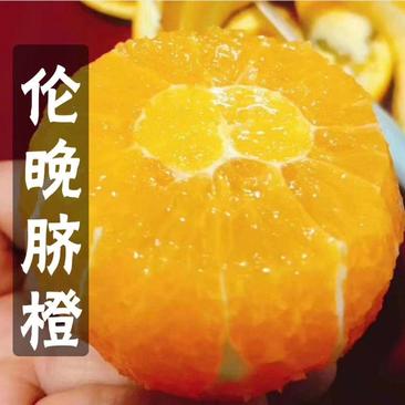 【精品】伦晚脐橙皮薄纯甜入口化渣可以视频看货