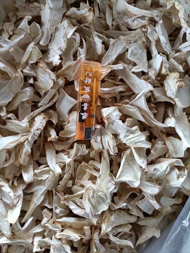 通货杏鲍菇切片，不过筛干货，产地直销，量大从优！