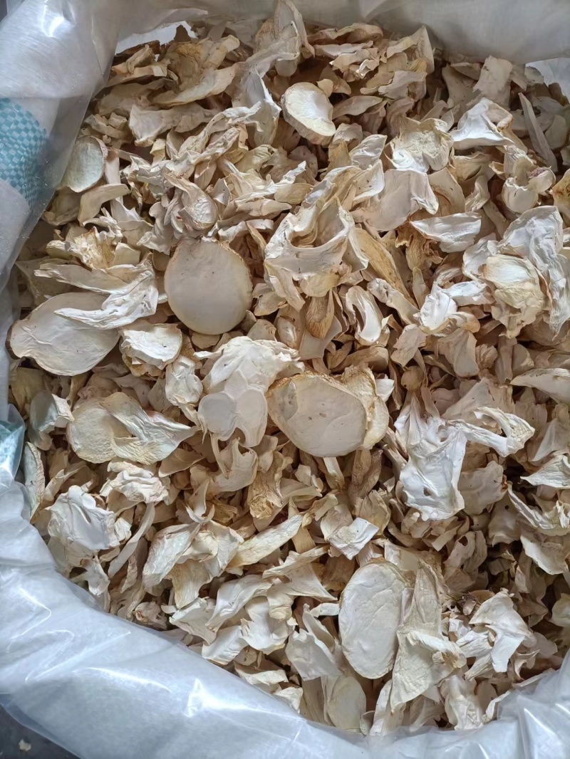 通货杏鲍菇切片，不过筛干货，产地直销，量大从优！