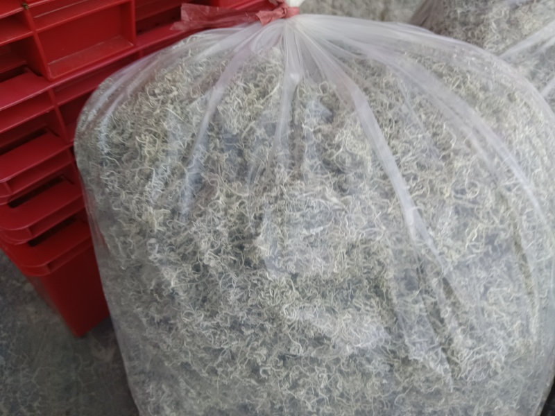 湖南永顺霉茶