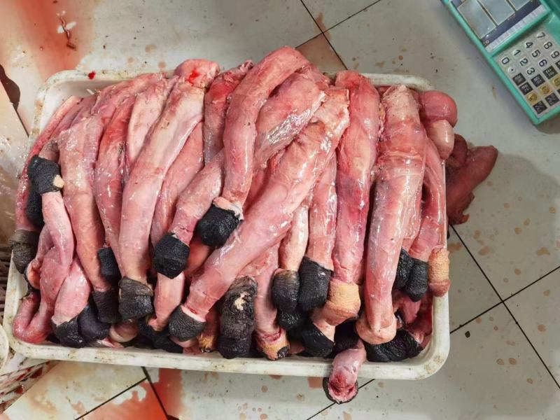 冻品驴肉