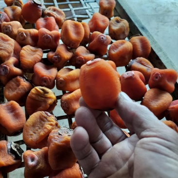 桂林平乐县柿子饼