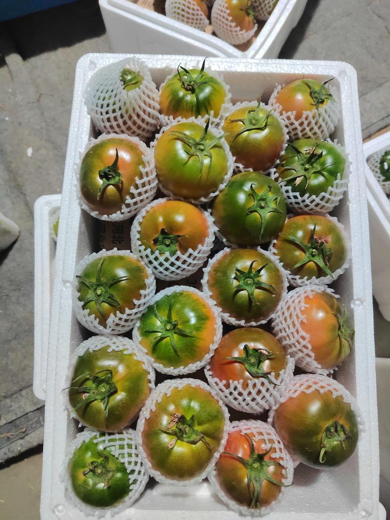京采八草莓柿子子