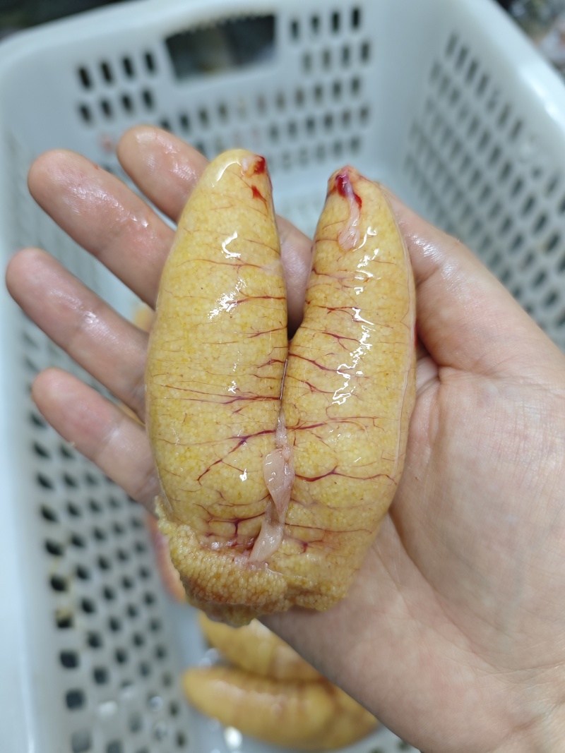 鲈鱼籽，常年加工，货源充足