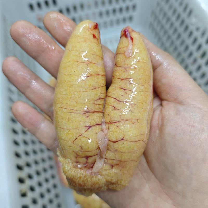 鲈鱼籽，常年加工，货源充足