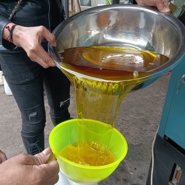 【实力热卖】小种山茶油高山茶籽油可视频看货诚信经营