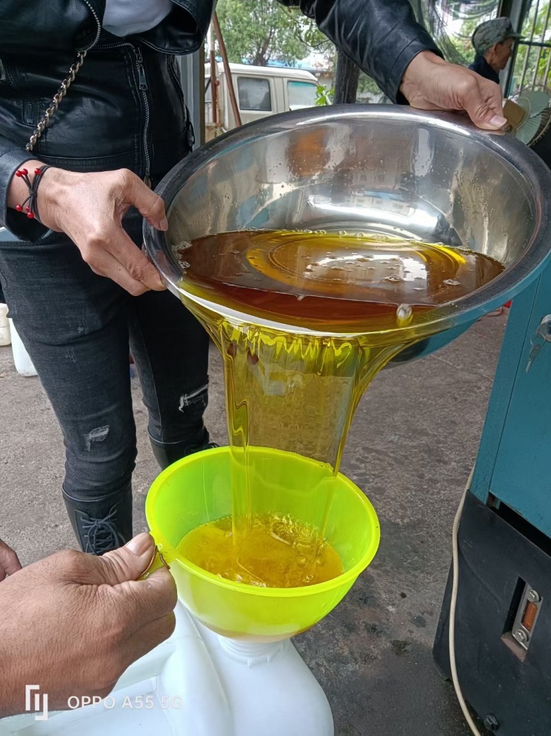 【实力热卖】小种山茶油高山茶籽油可视频看货诚信经营