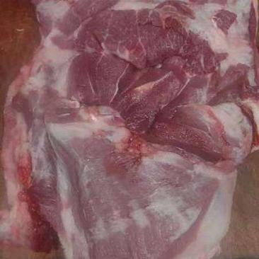 精品猪腿肉货源充足量大从优质量保证欢迎咨询