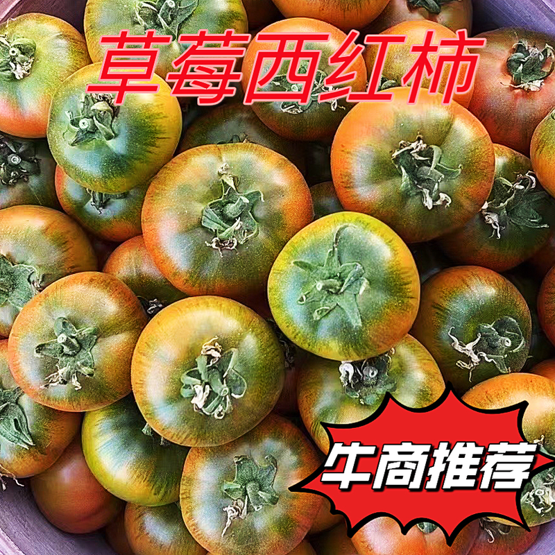 凤冠西红柿草莓柿子绿腚柿子正宗莱西草莓西红柿一件代发