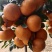 农产品水果