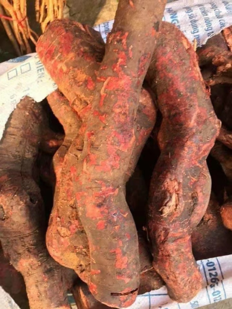 地柴头