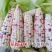 海迈花糯680优质玉米种子粘玉米彩糯香甜玉米种子鲜食玉米