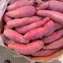【热卖】优质供货电商，西瓜红红薯，云南红河，价格