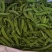 夹豆—荷兰豆云南精品货