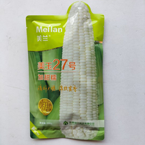 美玉27号加甜糯玉米种子高产超甜玉米种子白糯