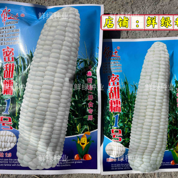 帮达蜜甜糯1号早中熟鲜食玉米春夏秋播
