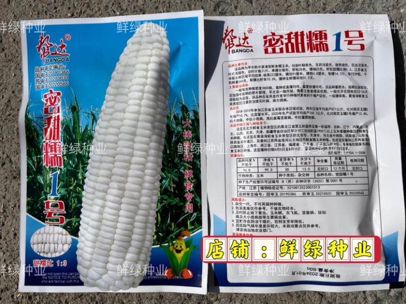帮达蜜甜糯1号早中熟鲜食玉米春夏秋播