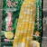 帮达蜜甜糯1号早中熟鲜食玉米春夏秋播