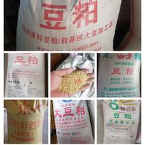 【经销商】各大品牌豆粕厂家直销欢迎经销商养殖户选购