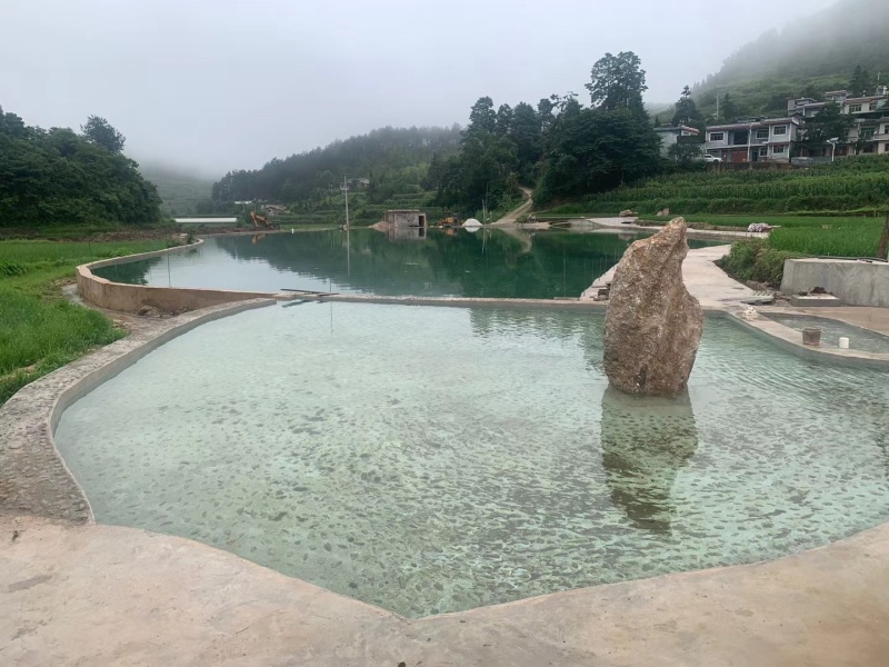 优质地下水鲫鱼