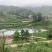 优质地下水鲫鱼