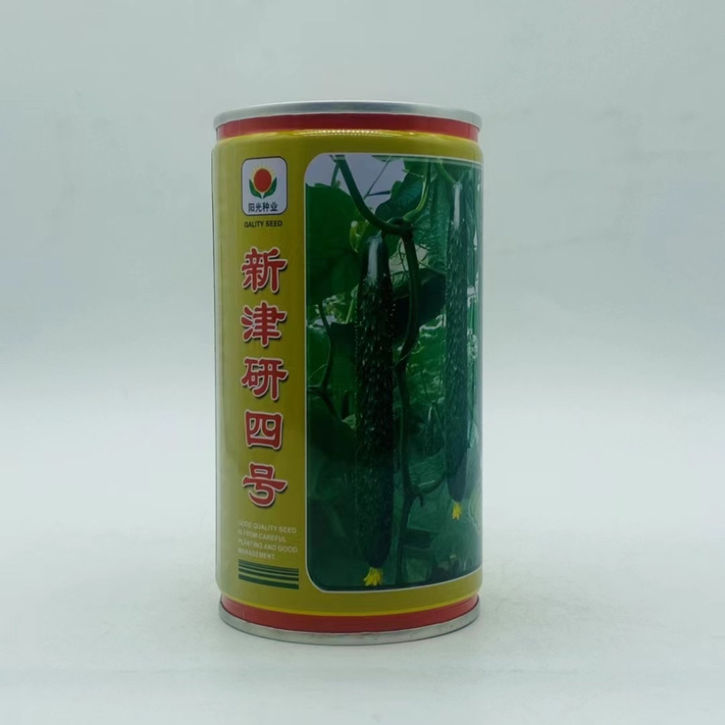 新津研四号黄瓜种子