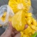 海南马来西亚1号黄肉菠萝蜜产地直发品质保证欢迎咨询合作