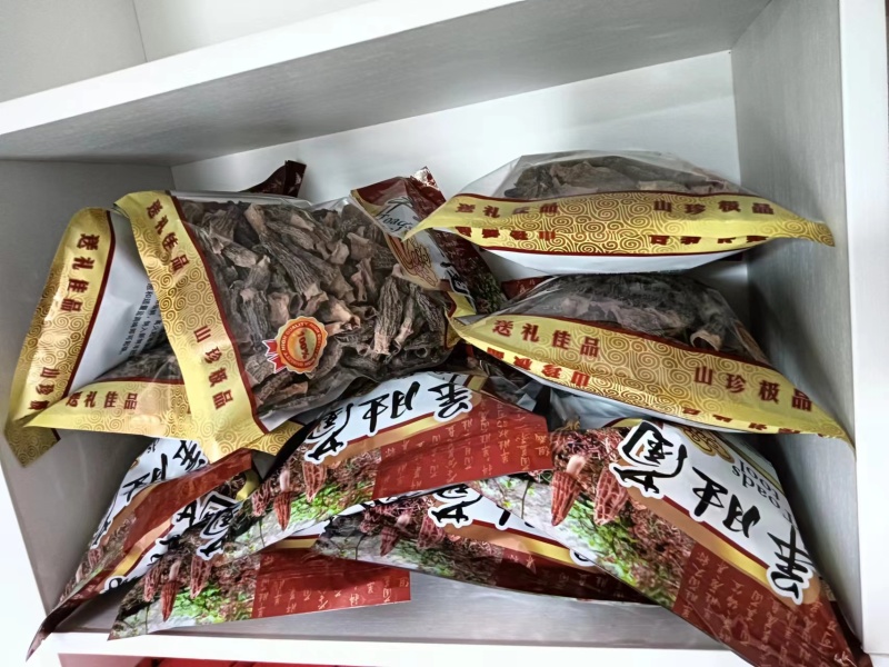 羊肚菌