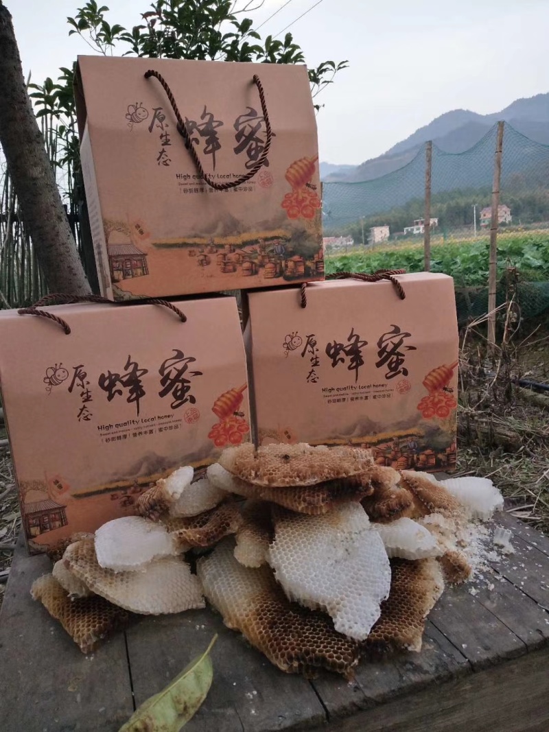 推荐江西吉安大山纯正土蜂蜜大量供应各种规格价格美丽