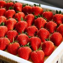 【热销】草莓，甜查理，联盟，奶油，香野专业代发全国