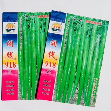 润线918线椒种子