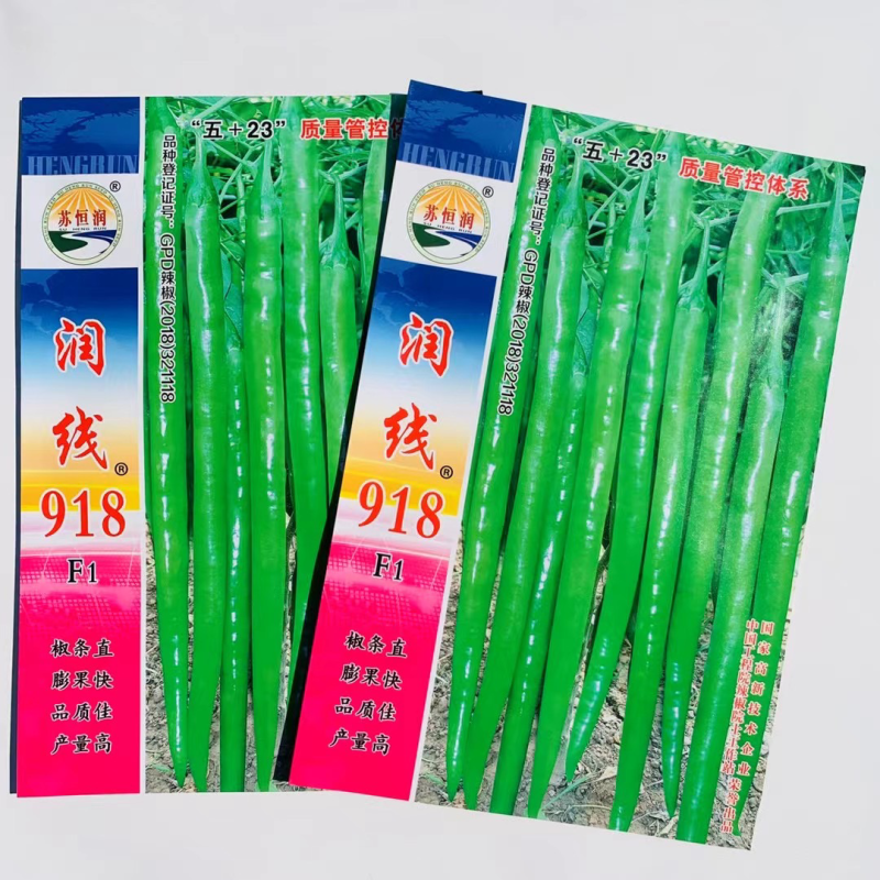 润线918线椒种子