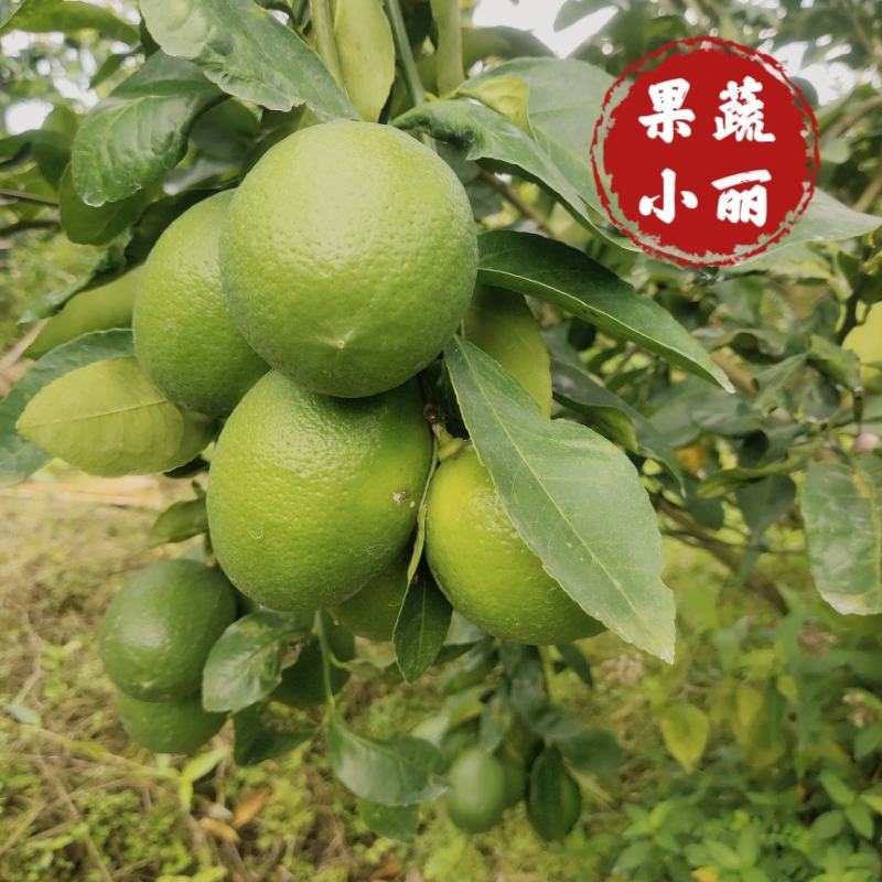 青柠檬