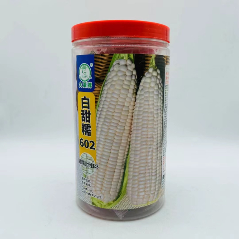 大禹白甜糯602玉米种子高产香甜加糯薄皮大棒