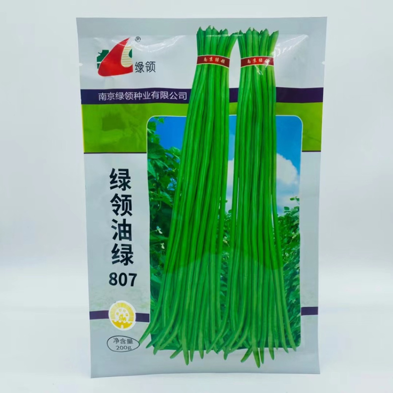 南京绿领油绿807豇豆种子翠绿色长豆角早熟