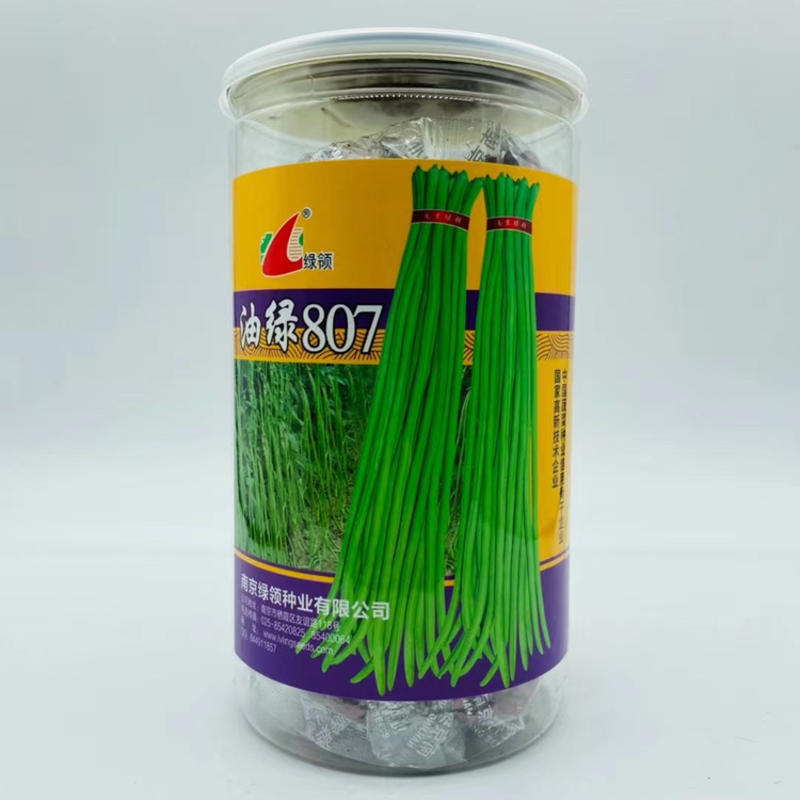 南京绿领油绿807豇豆种子翠绿色长豆角早熟