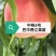 中桃5号桃树苗成活率高品种齐全可直接来电采购