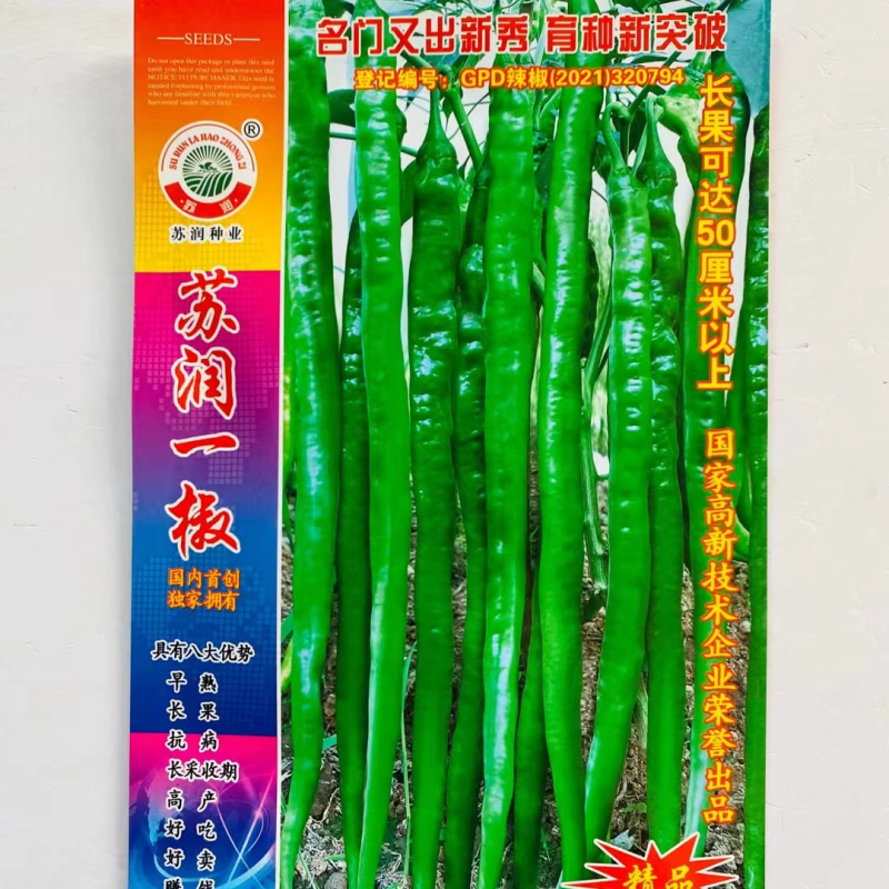 苏润一椒线椒种子早熟长果条椒种子早期产量高